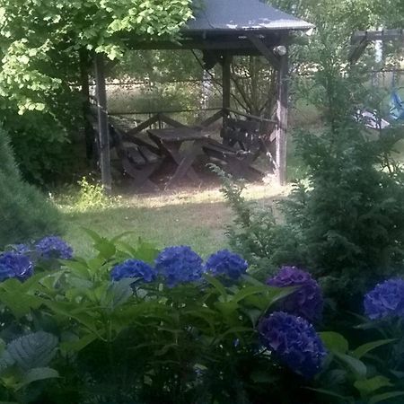 Agroturystyka Gaga أوستكا المظهر الخارجي الصورة